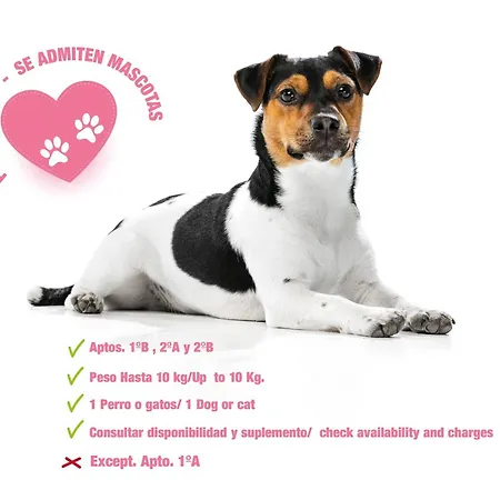 Loft Gran Canaria Apartman Arucas