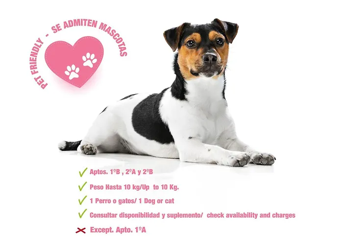 Loft Gran Canaria Apartamento Arucas