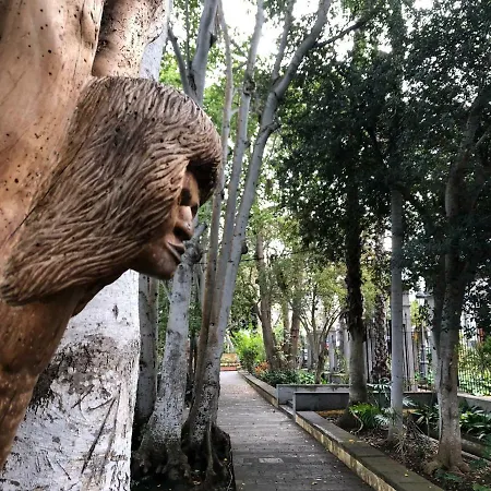 Loft Gran Canaria ארוקאס